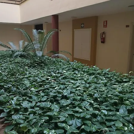Apartamentai Olivia Sunset, Puerto De Santiago! Apartment Puerto de Santiago (Tenerife)